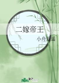 二嫁王爷