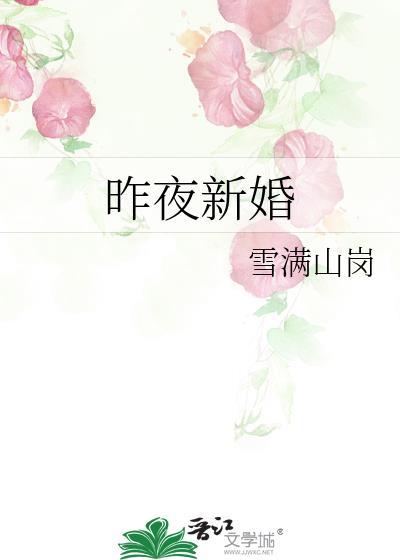 昨夜新婚作者雪满山岗百度