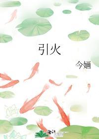 崽竟是我和高冷校草生的?!作者不识朝朝
