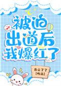 被迫出道后我红了 作者宗年