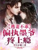 墨少亲宠小逃妻