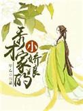 秀才家的小辣媳无广告